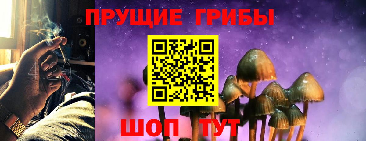Галлюциногенные грибы Psilocybe  Вход с VPN  Стрежевой  Псилоцибиновые грибы Magic Shrooms 